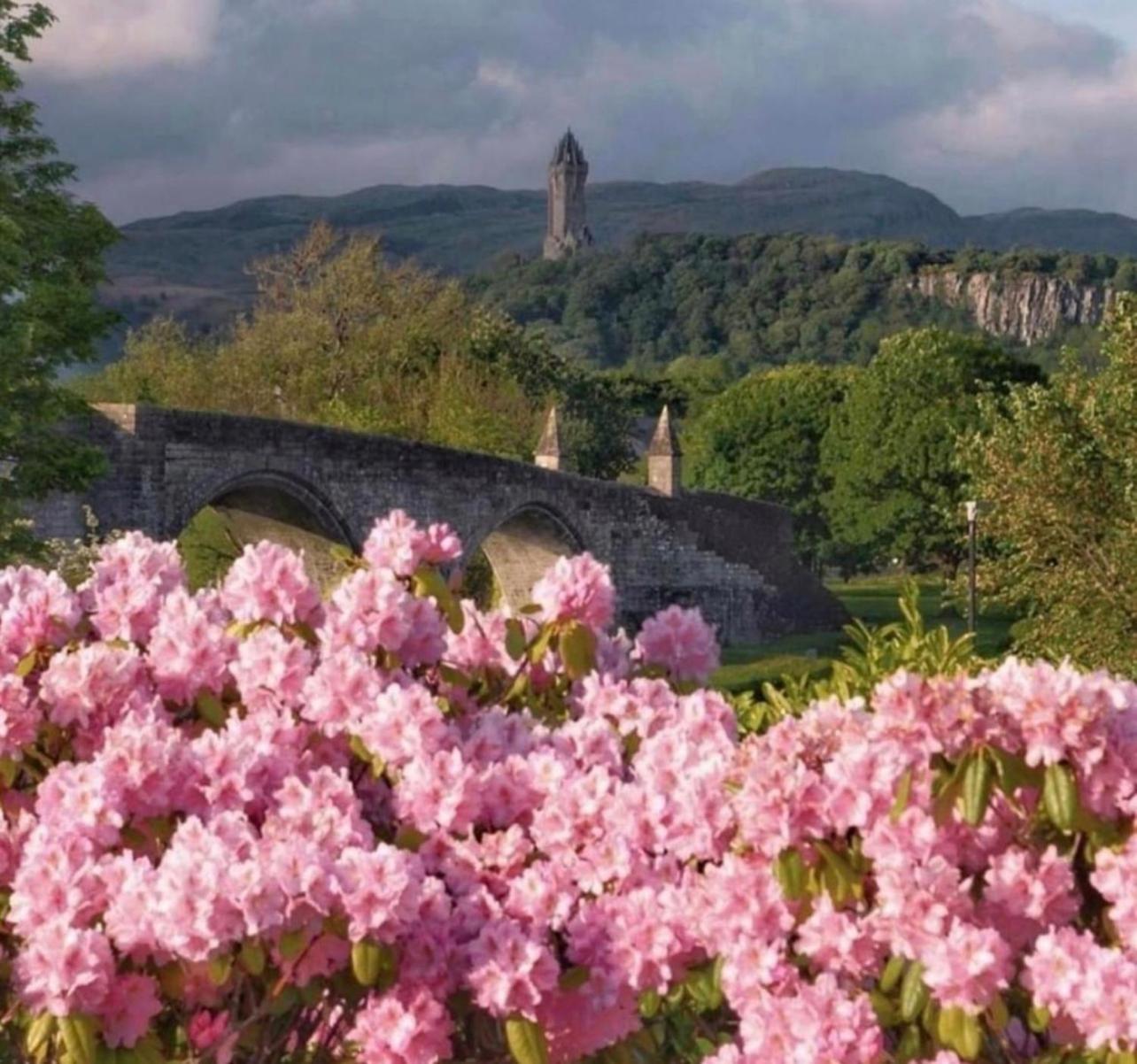 Cosy Cottage Stirling Luaran gambar